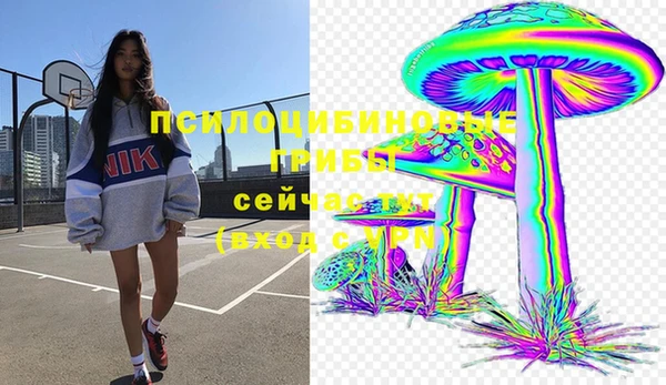 твердый Лиски