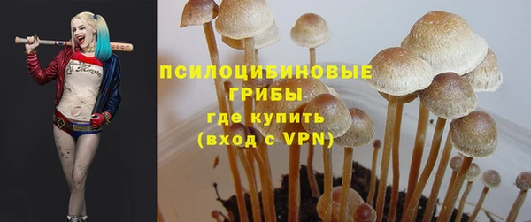 твердый Лиски