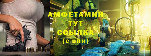 твердый Лиски
